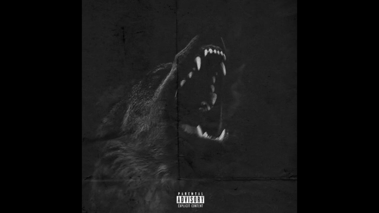 Tunsi le vrai - Zipette