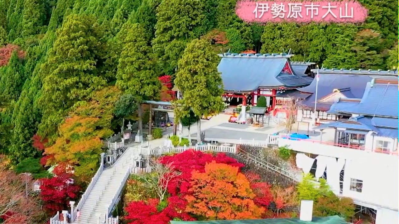tvk公式「神奈川の風景」伊勢原編(大山)