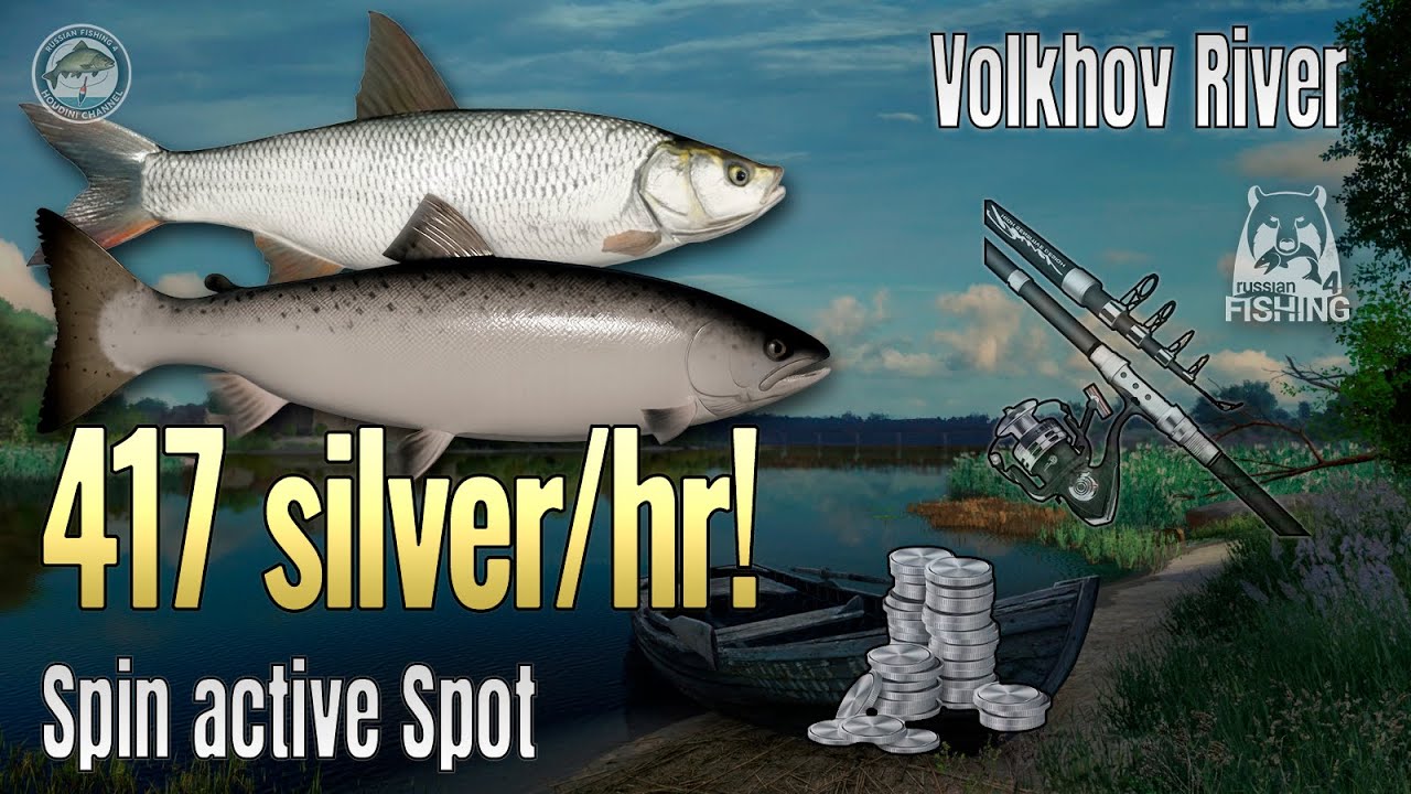 📌Best Volkhov River Spot for Asp & Salmon | Russian Fishing 4 Silver Farm Guide