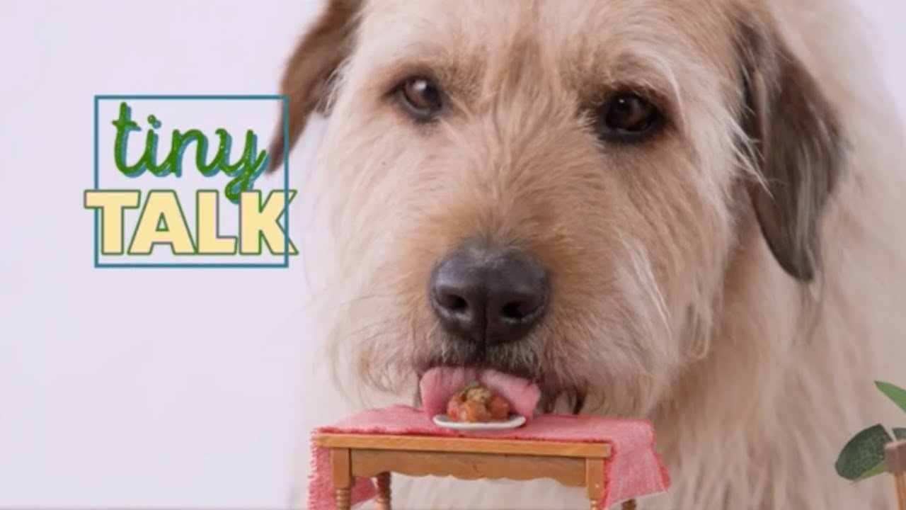 Making Tiny Meatballs with Arthur The King | Tiny Talk