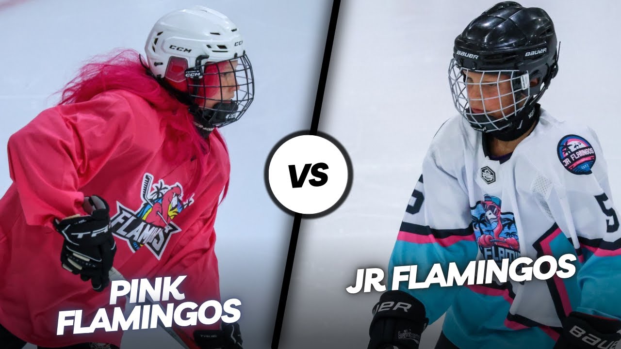 3on3 Classic - Season 9 - Pink Flamingos vs Jr Flamingos
