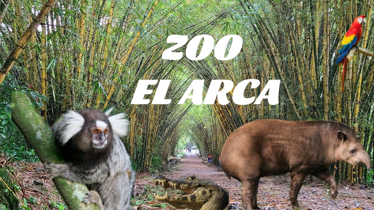 El arca zoo Napo Ecuador || in the Ecuadorian Amazon where rescued wildlife gets a second chance!