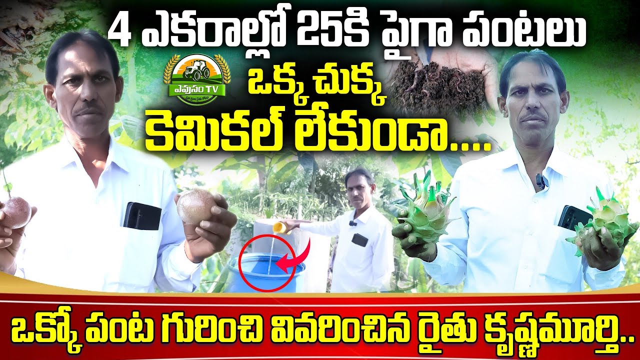 రైతు కృష్ణమూర్తి 'బహుళ పంటల' విప్లవం - తప్పక చూడండి || Natural farming farmer KrishnaMurthy ||