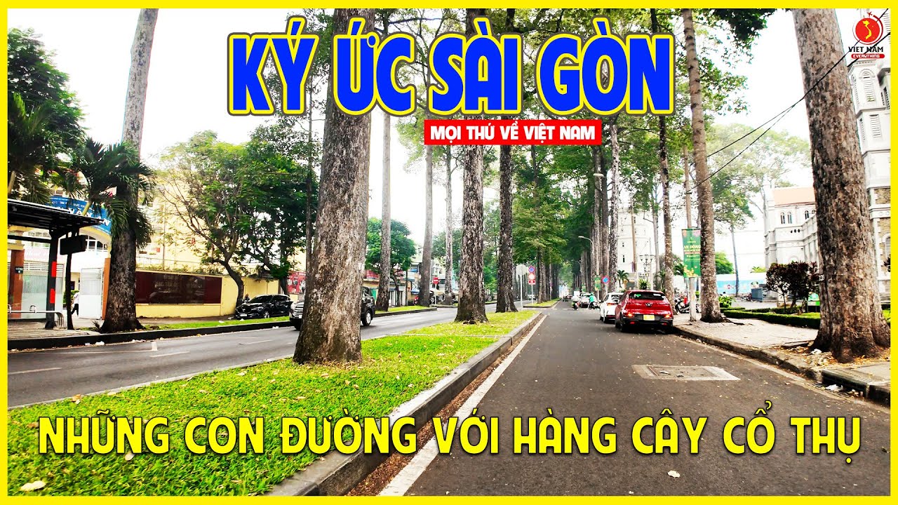 KÝ ỨC SÀI GÒN | NHỮNG CON ĐƯỜNG VỚI NHỮNG HÀNG CÂY CỔ THỤ TẠI SÀI GÒN | Sài Gòn ngày nay