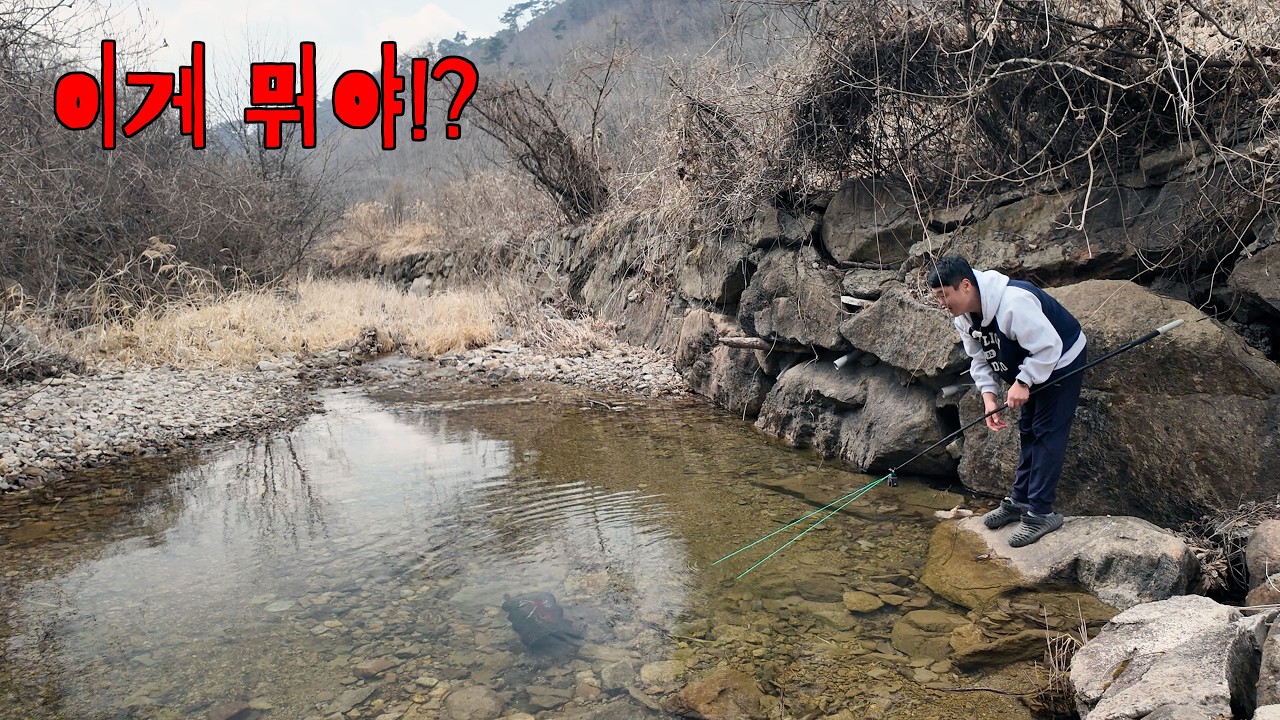 계곡 웅덩이에 있던 물고기가 다 잡혔네 헐...