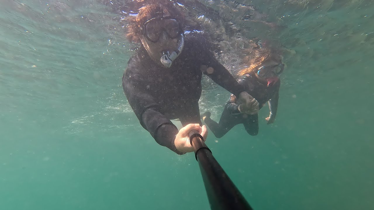 Returning to Goat Island 
