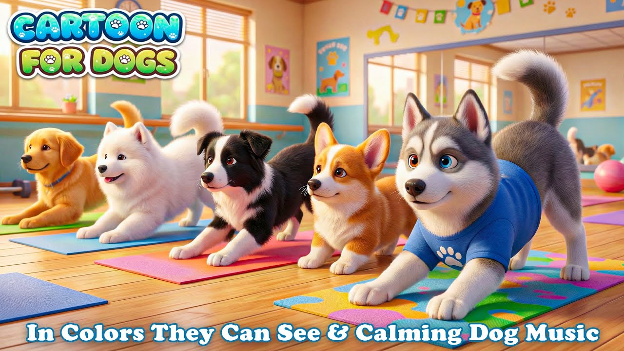 School, But Dog Style 🐶 Best Cartoon for Dogs Home Alone 🐾 Calming Music for Anxious Dogs