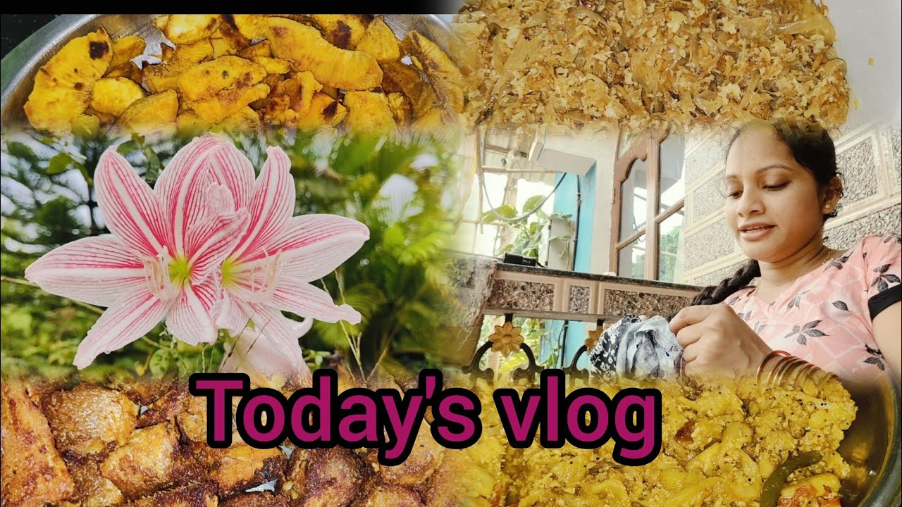 Today's vlog#minivlog #minivlog #goan #goanlife #goanlife