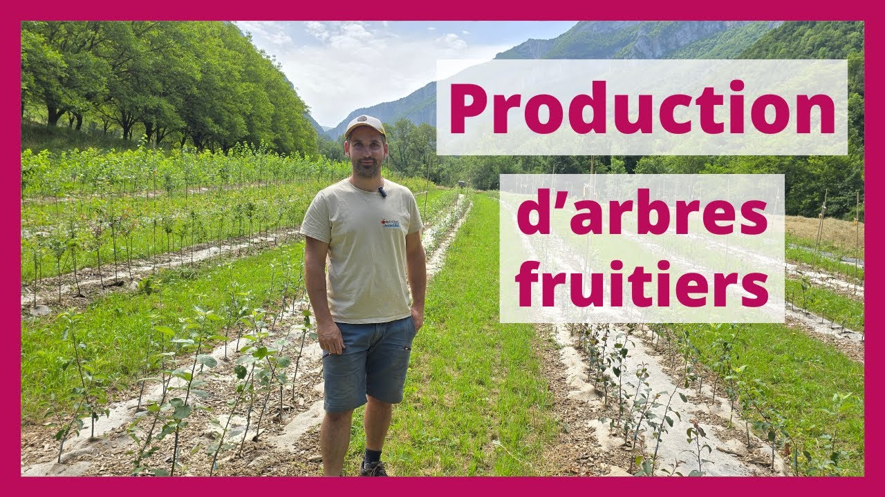 Un jardin-forêt expérimental à la pépinière de la Vernaison