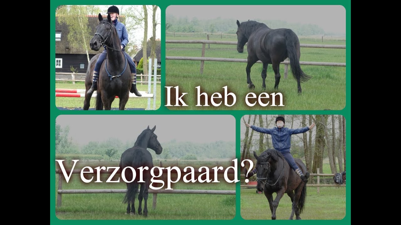 Vlog ~ Ik heb een verzorgpaard?!