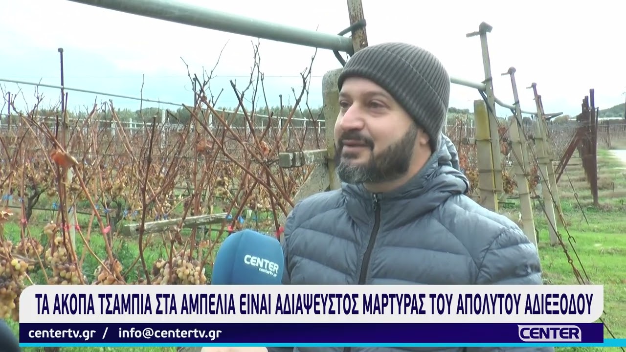Τα άκοπα τσαμπιά στα αμπέλια είναι αδιάψευστος μάρτυρας του απόλυτου αδιεξόδου