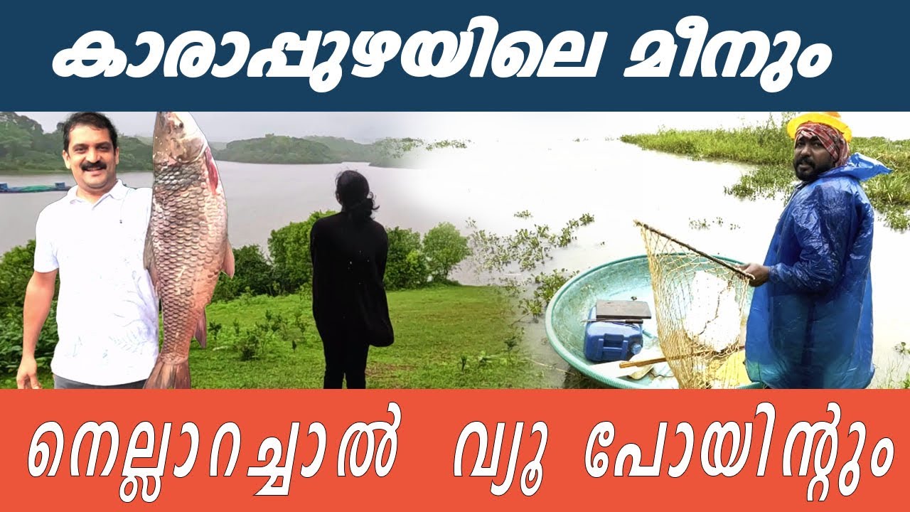 Fishing at Karappuzha Dam & Exploring Nellarachal Viewpoint