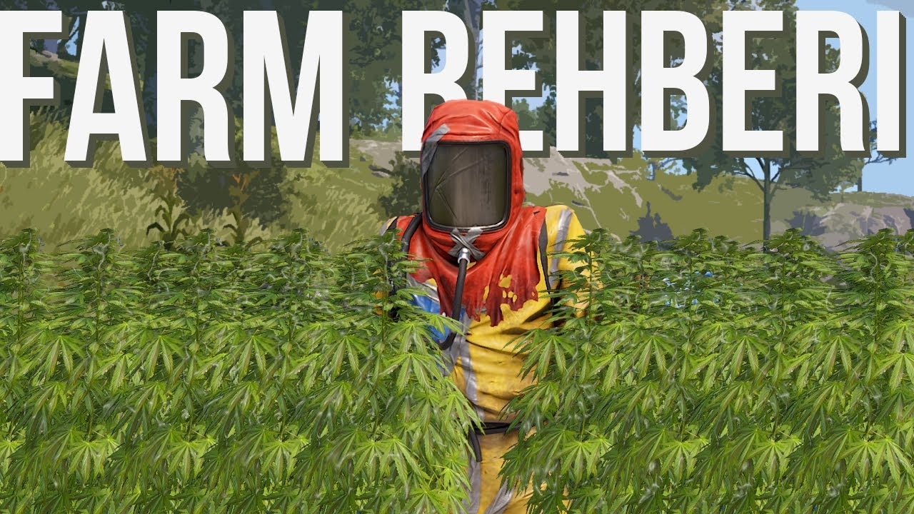 Rust Farm Rehberi - Tohum Genetiği - Gen Çaprazlama - Farm İtemleri ve Detaylı Farm - Rust Türkçe