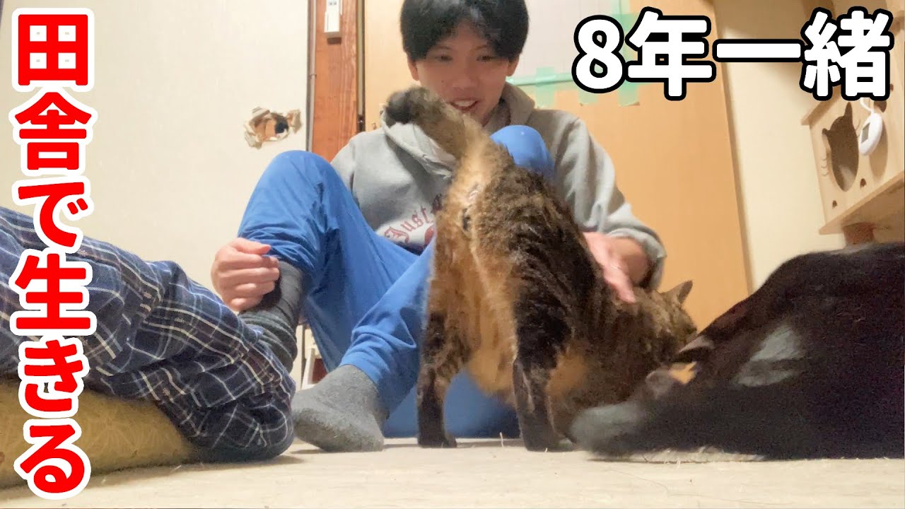 疲れた身体に猫の癒し。正月気分も終わり、荒れた裏山へ【移住生活137】