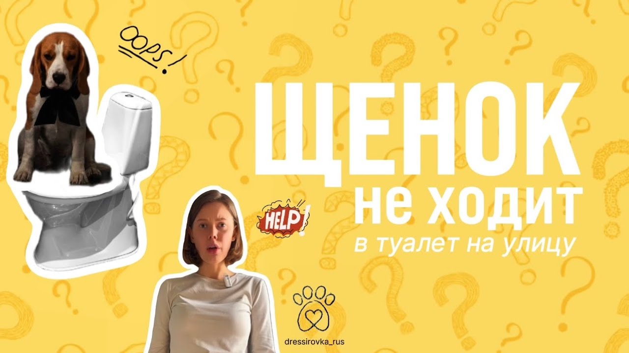 Щенок НЕ ХОДИТ в туалет на улице 🚾😱