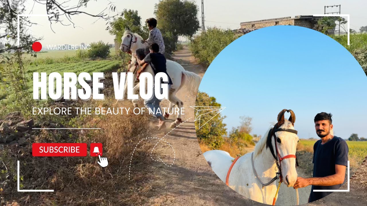 aaj ghodi e to bov kri (Part-1)