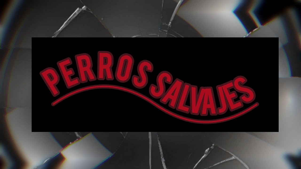 PERROS SALVAJES - Reggaetón Junior💃