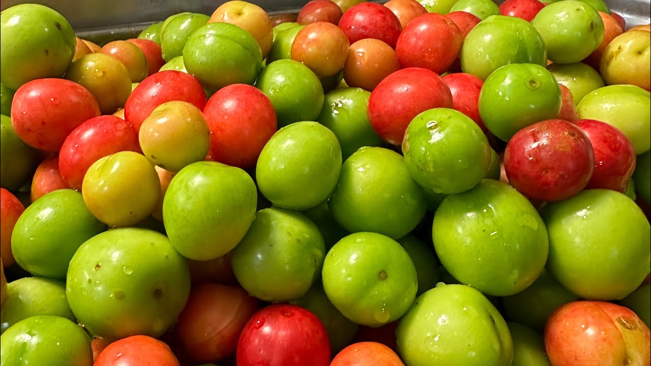 Wild Plum Cheese Recipe