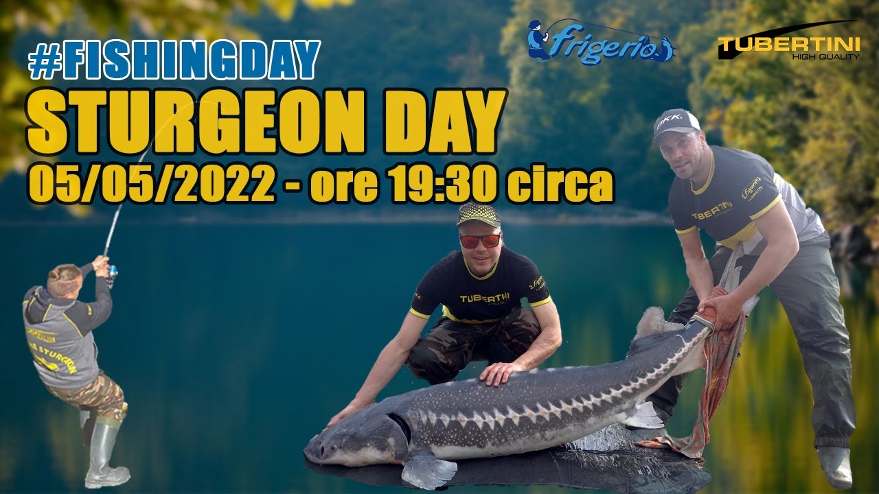A pesca di storioni con Frigerio Pesca e Tubertini