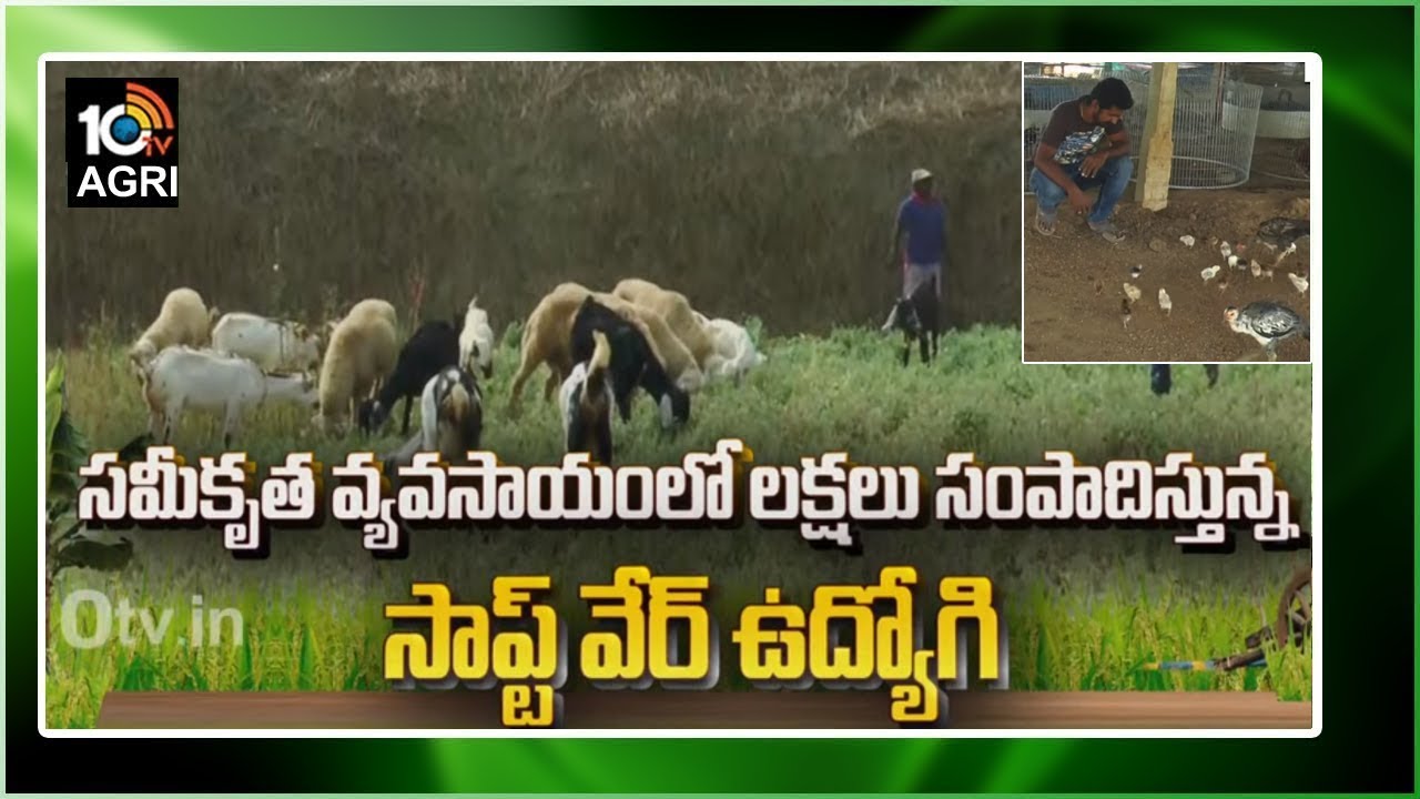 సమీకృత వ్యవసాయంలో లక్షలు సంపాదిస్తున్న సాప్ట్ వేర్ ఉద్యోగి | Software Engineer Profits in Farming