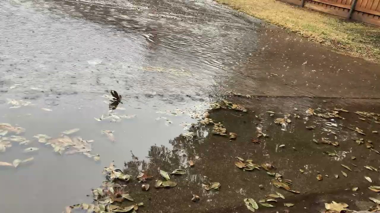 Guitar for a Rainy Afternoon 