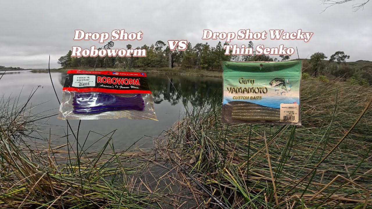 Bait testing dropshot Roboworm vs dropshot wacky Thin Senko