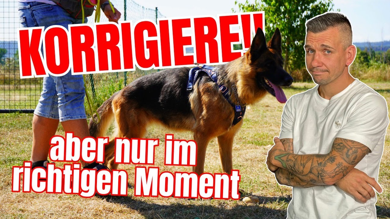 RÜCKRUF ODER KORREKTUR? WAS IST WANN RICHTIG?