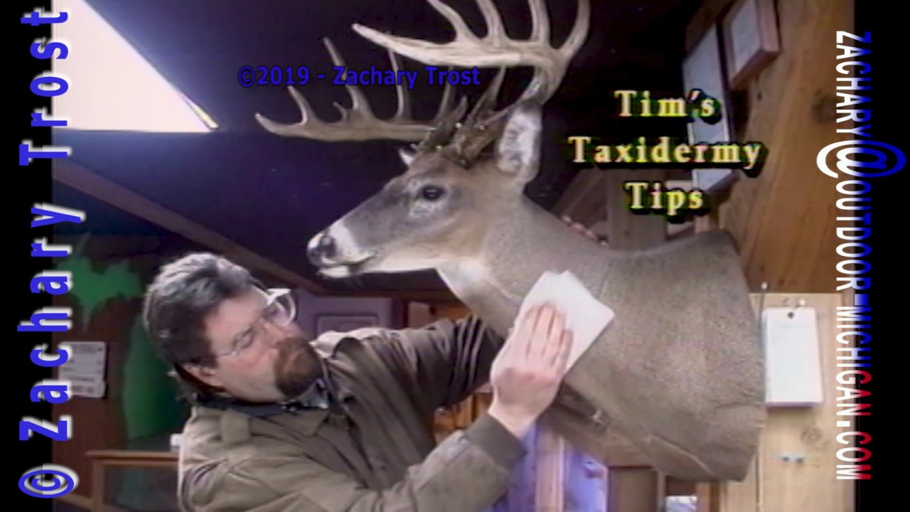 How to clean a Taxidermy Mount - Fred Trost's Practical Sportsman Tip 2000-1-27