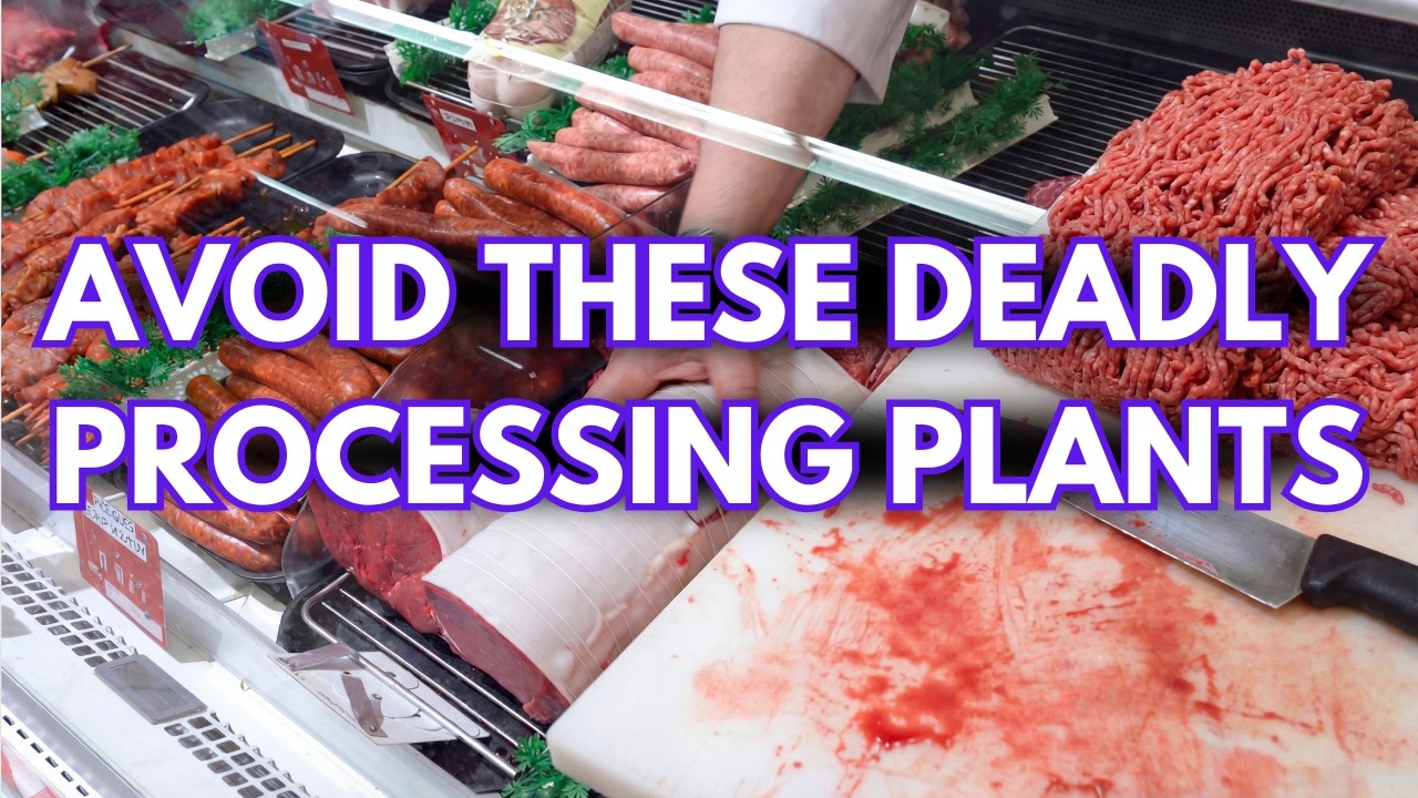 8 WORST Meat Processing Plants Supplying Your Grocery Store (And 3 Great Ones)