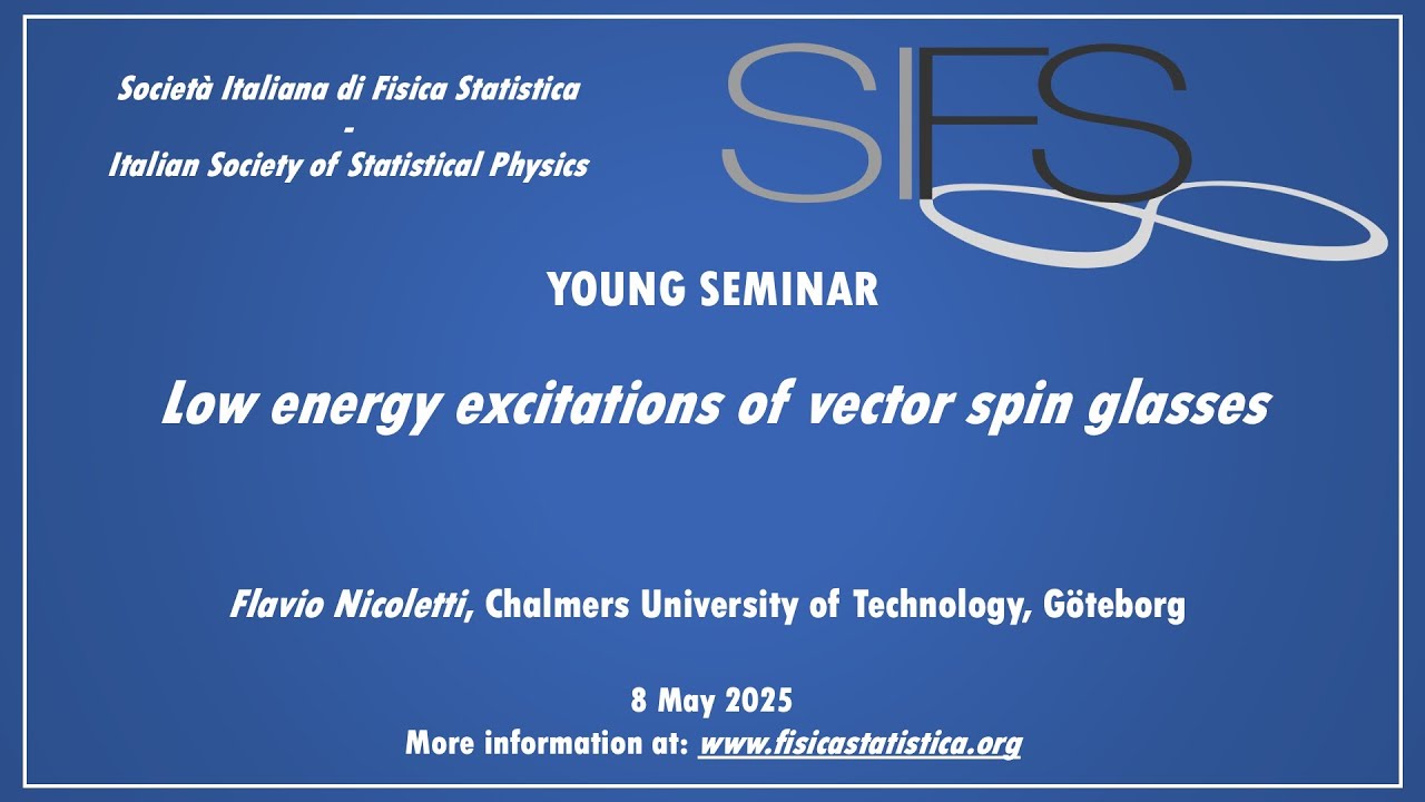 Low energy excitations of vector spin glasses - Flavio Nicoletti - Young Seminars SIFS
