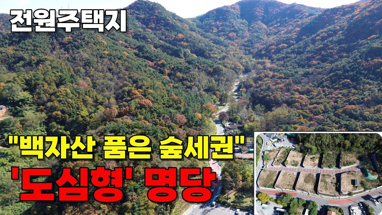 경산시 백천동 전원주택지 분양!  즉시 건축가능, 백자산 치유의 숲을 품은 도심형 전원주택지 ‘단독 분양  #경산부동산 #전원주택지 #경산토지매매 #경산토지#T4358