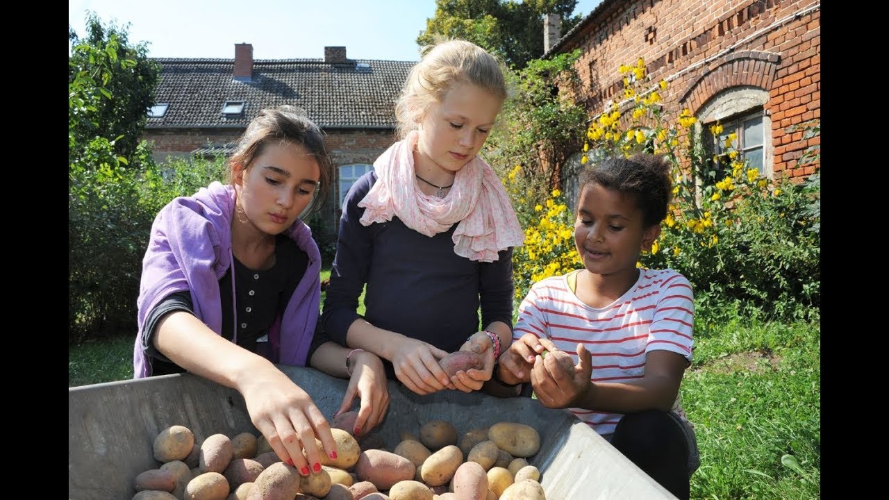 Webinar „Mit Kindern die Kartoffel (wieder-)entdecken“