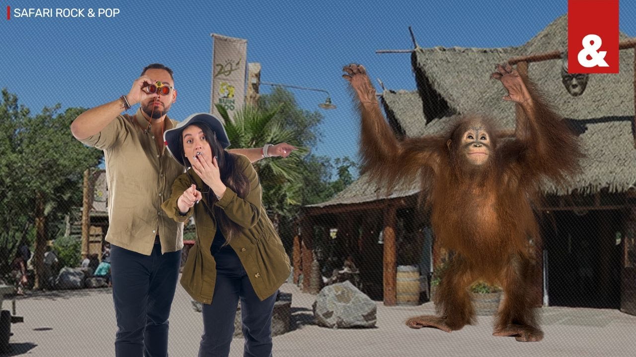 🔴Safari Rock & Pop EN VIVO | Buin Zoo y sus animales 🦒Poly Godoy y su nuevo libro📚Donantes de sangre