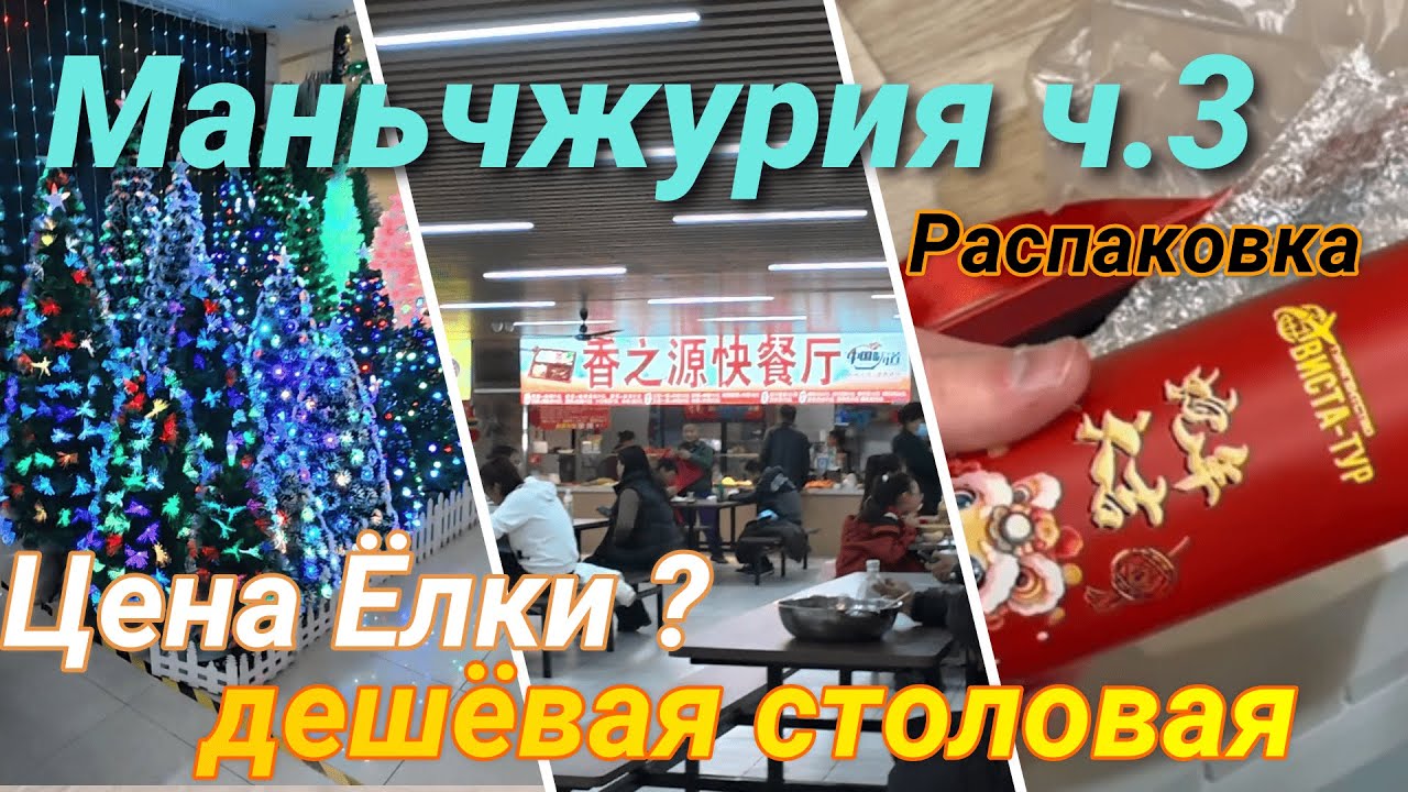 Маньчжурия, Ёлочный базар, новогодние костюмы, Умный унитаз, Распаковка, 25.10.2025