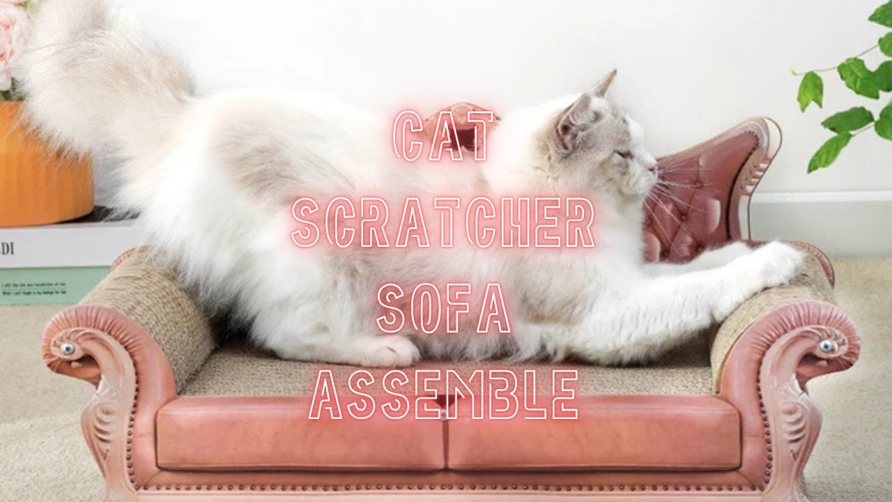 Cat Scratcher Sofa Bed Assemble