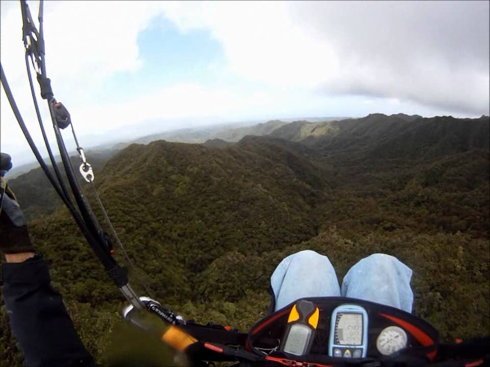 Paraglider pilot crashes in Tiger country