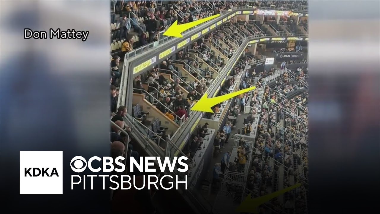Fan suffers life-threatening injuries after falling from stands at hockey game