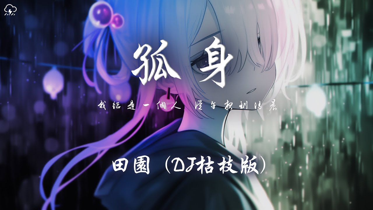 田園 - 孤身 (DJ枯枝版)「我總是一個人 從午夜到清晨 我總是一個人 越來越難抽身」【動態歌詞/PinyinLyrics】♪