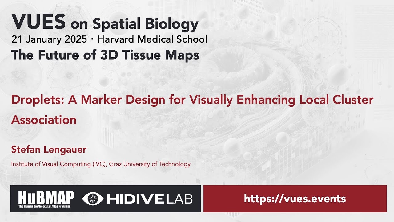VUES on Spatial Biology - January 2025, Stefan Lengauer