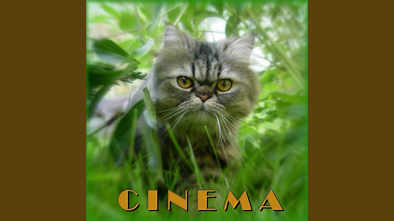 Cinema