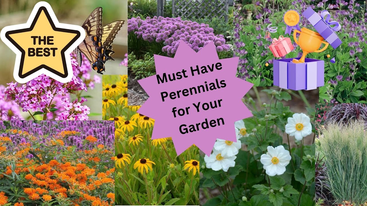 Perennial Plants for the Garden