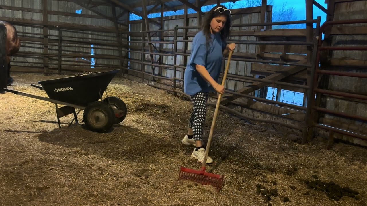 We have most of our supplements on auto ship / a horsey chore vlog 