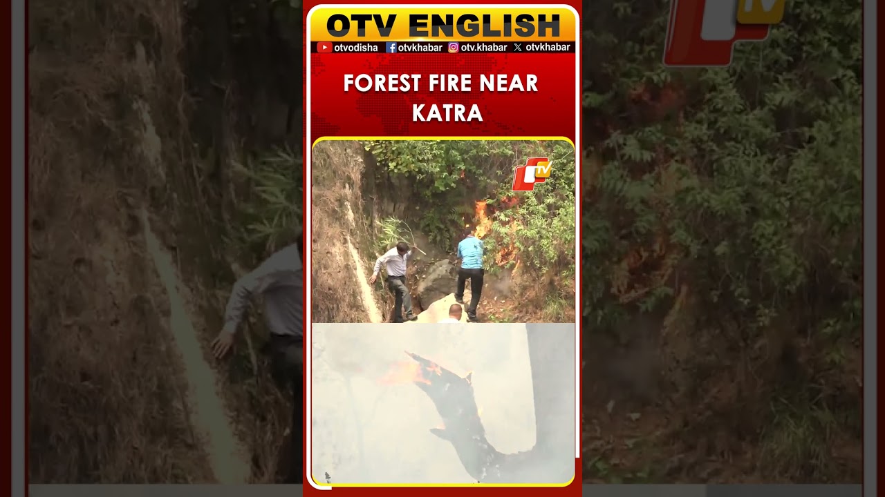 J&K: Forest Fire Erupts In Hills Near Katra, Firefighting Operations Underway | OTV