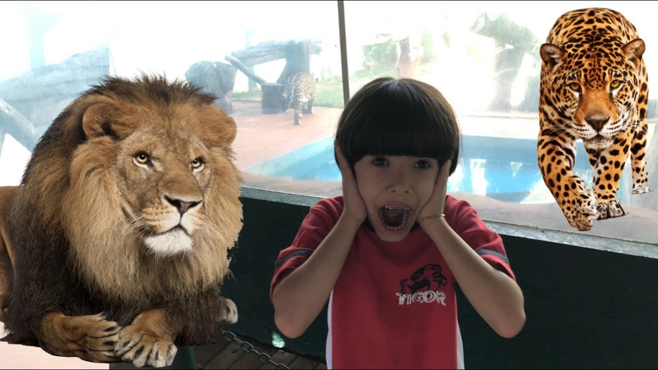 CONHECENDO O ZOOLÓGICO DE GOIÂNIA