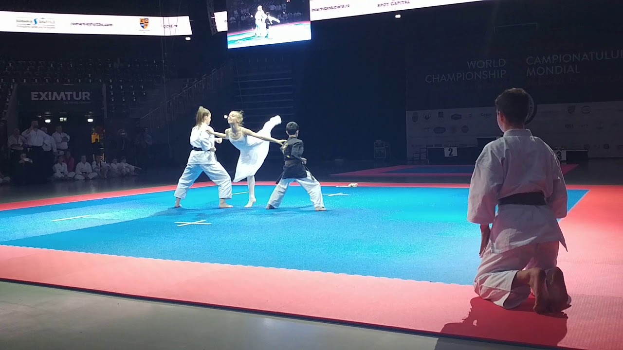 Romanian Fusion Art at World Fudokan Karate Championship 2017