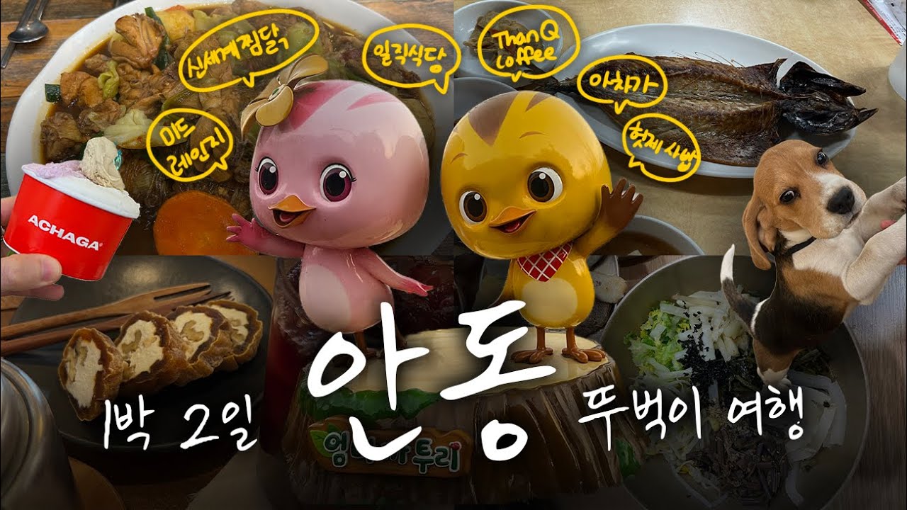 [🇰🇷VLOG] 안동 - 1박 2일 뚜벅이 여행 🧳 | 안동신세계찜닭, 일직식당, 맘모스베이커리, 월영교달빵 | Andong VLOG | 20251211~20251212