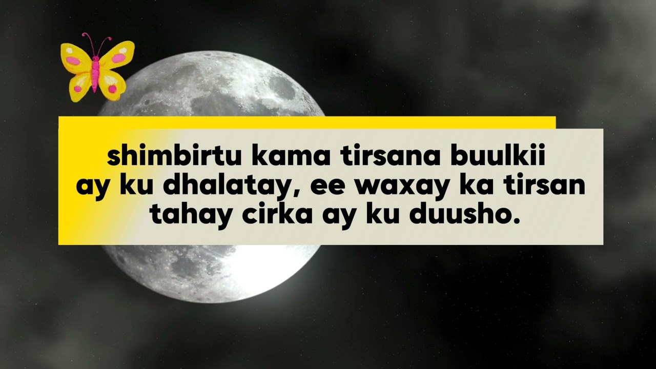 3 DIB UMA SO LAABTAAN....