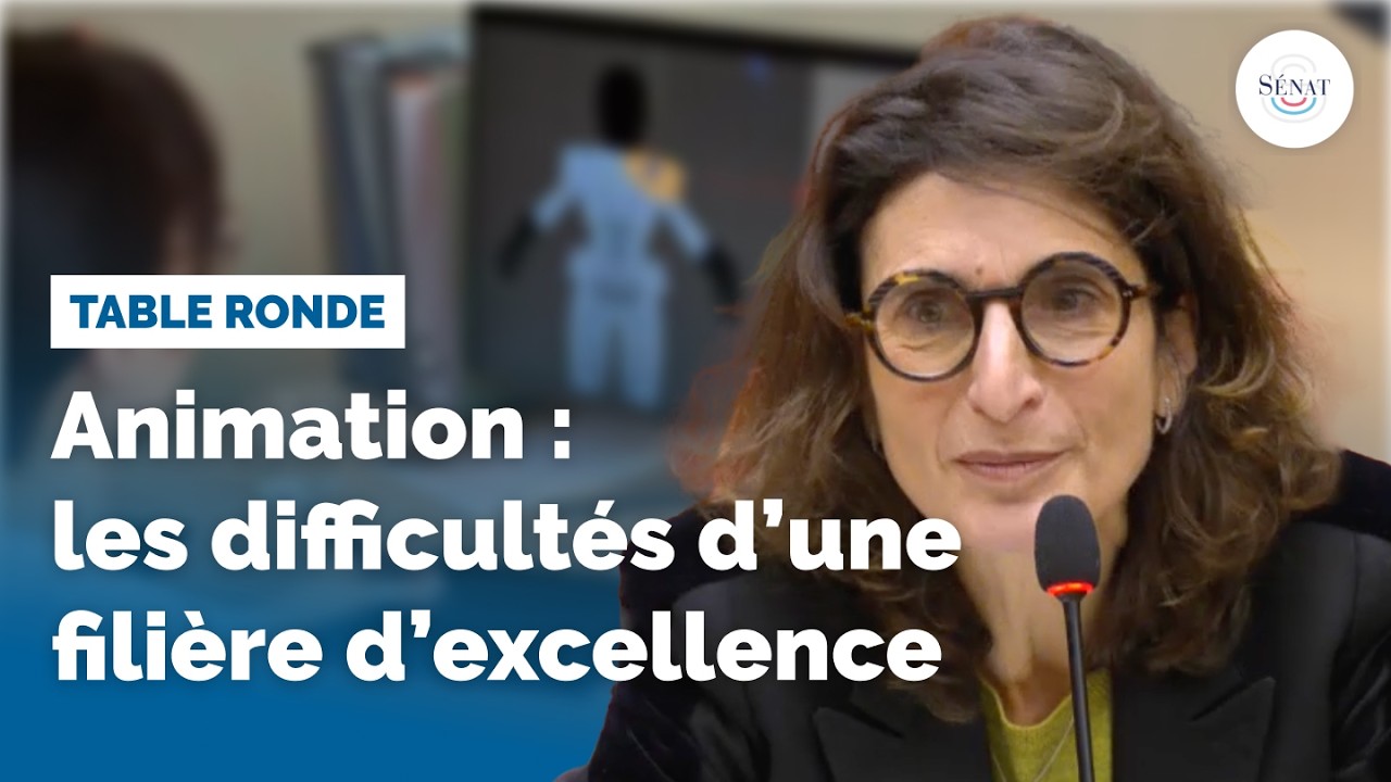 Animation : les difficult&eacute;s d&rsquo;une fili&egrave;re d&rsquo;excellence