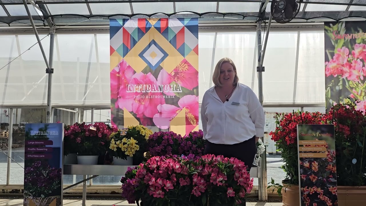 California Spring Trials (CAST) 2025 Inticancha