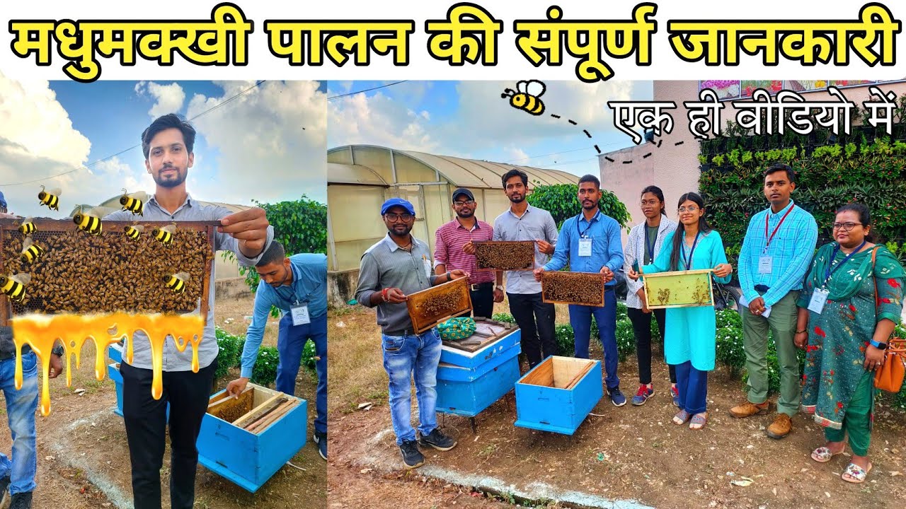 मधुमक्खी पालन की A to Z जानकारी । 💸 Millions can be earned from Beekeeping 🐝 । Agri Business ।